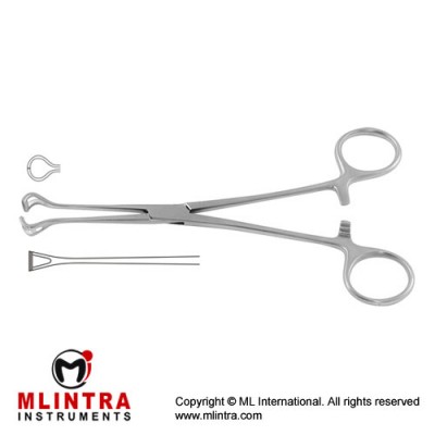 Babcock Atrauma Intestinal and Tissue Grasping Forceps Stainless Steel, 20.5 cm - 8"